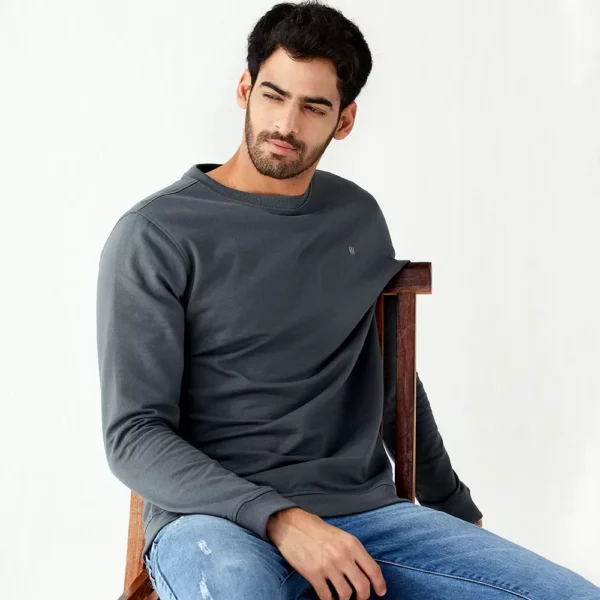 poppy-seed-lifestyle (1) modern crew grey sweatshirt