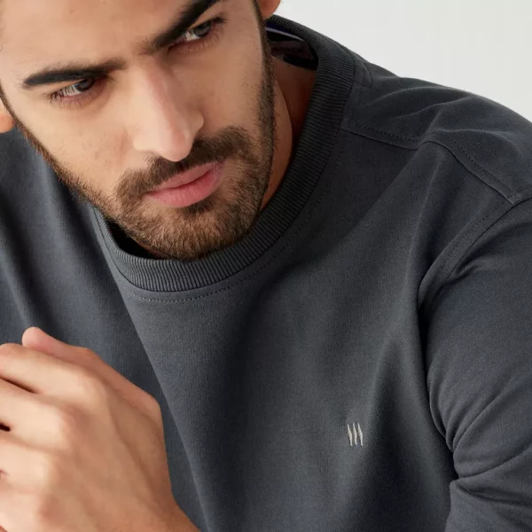 poppy-seed-logo (1) modern crew men grey sweatshirt