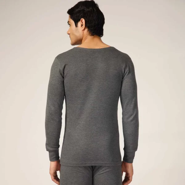 Grey-Top-Back Grey-Top-Back
